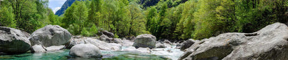 Ticino
