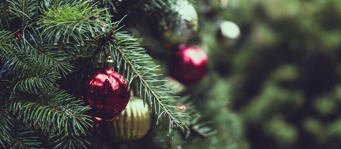 Bestellungen vor Weihnachten und Betriebsferien