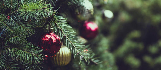 Bestellungen vor Weihnachten und Betriebsferien