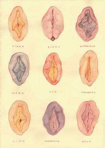 Jede Vulva ist schön